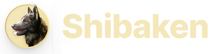 logo-footer.png